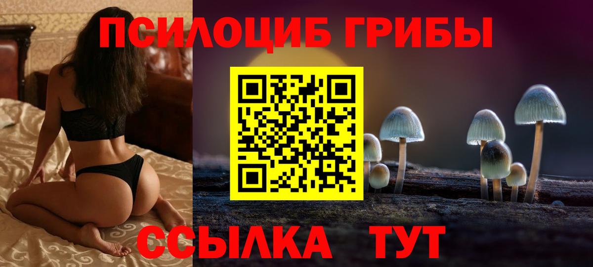 Галлюциногенные грибы Cubensis  Вход с VPN  Егорьевск 